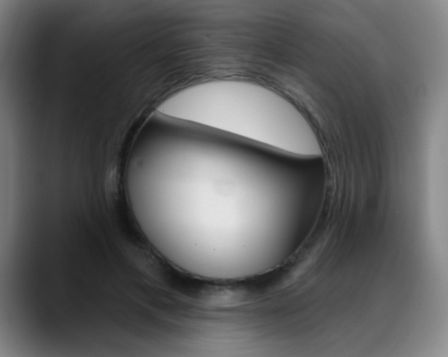 X0000090500597200707130950