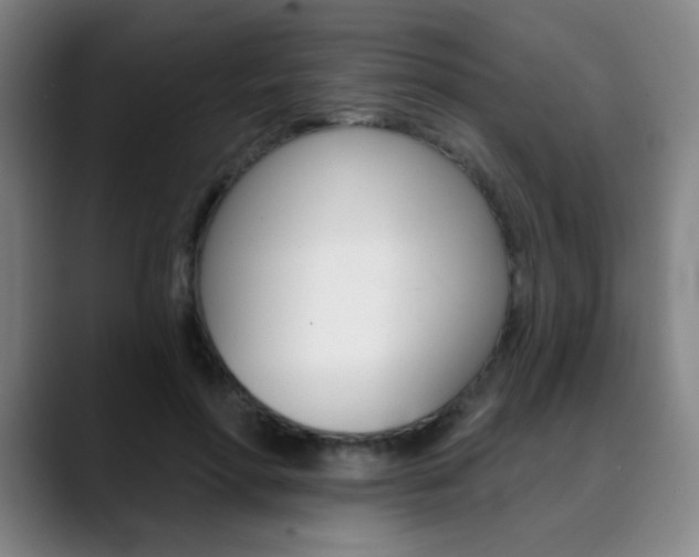 X0000090500598200707130950