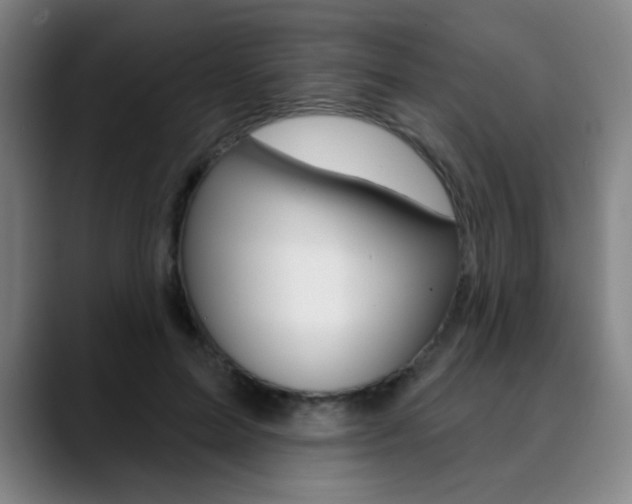 X0000090500599200707130950