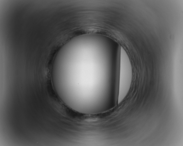 X0000090500601200707130950