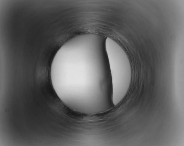 X0000090500603200707130950