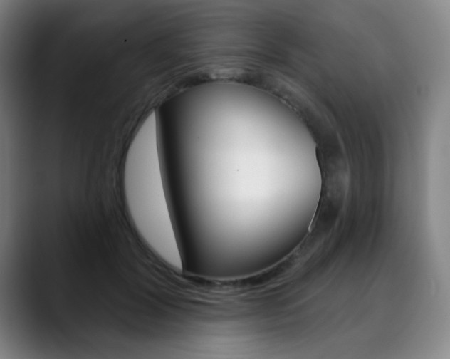 X0000090500604200707130950