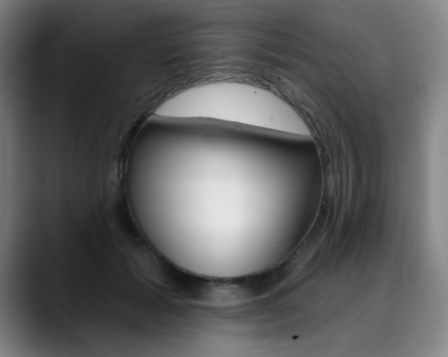 X0000090500605200707130950