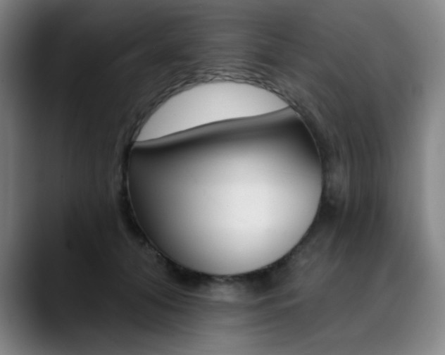 X0000090500608200707130950