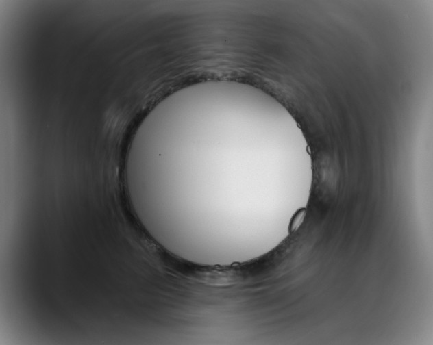 X0000090500615200707130950