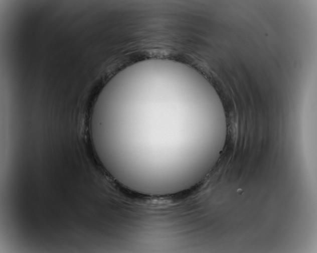 X0000090500619200707130950