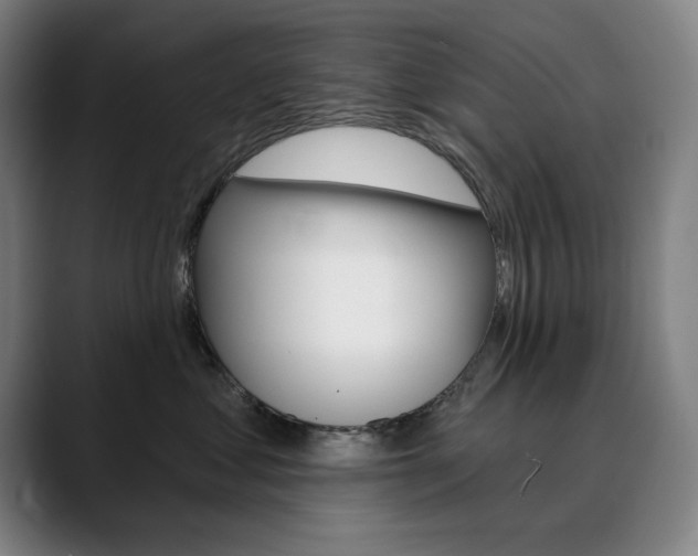 X0000090500621200707130950