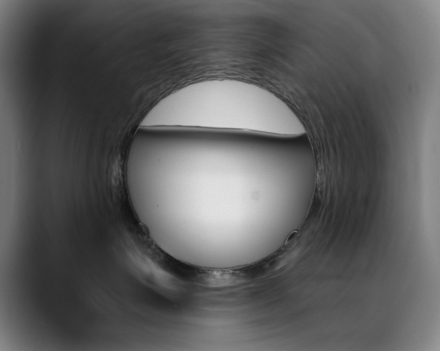X0000090500623200707130950