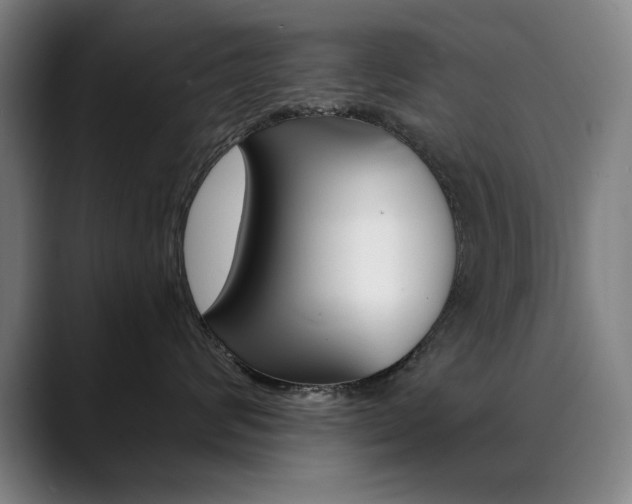 X0000090500624200707130950