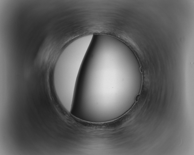 X0000090500626200707130950