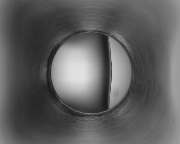 X0000090500627200707130950