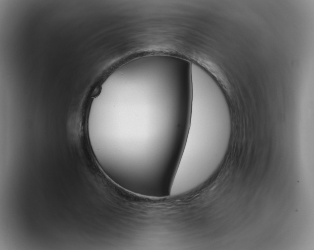 X0000090500628200707130950