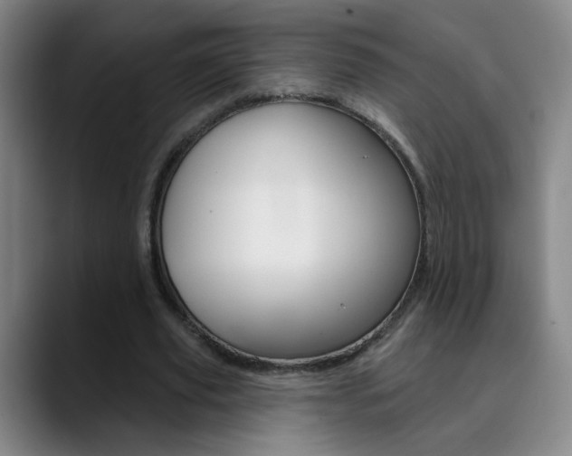 X0000090500629200707130950