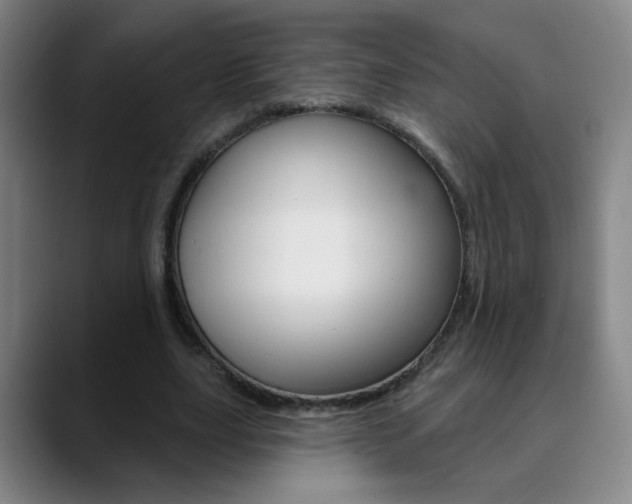X0000090500631200707130950