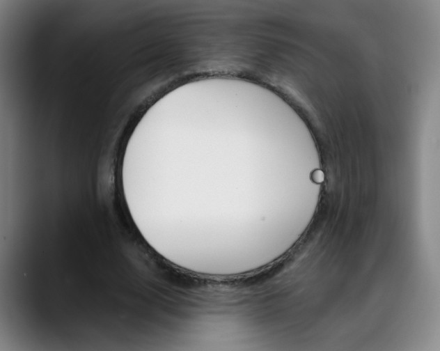 X0000090500632200707130950