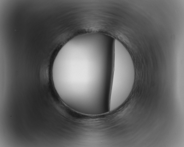 X0000090500638200707130950