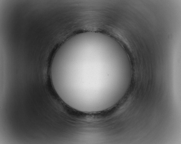 X0000090500641200707130950
