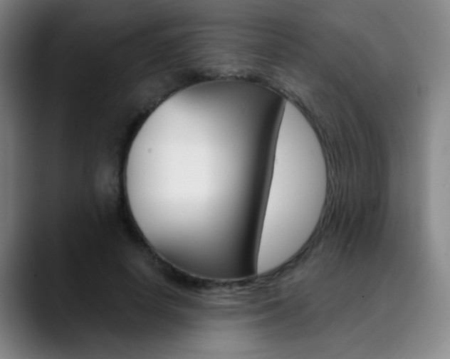 X0000090500642200707130950