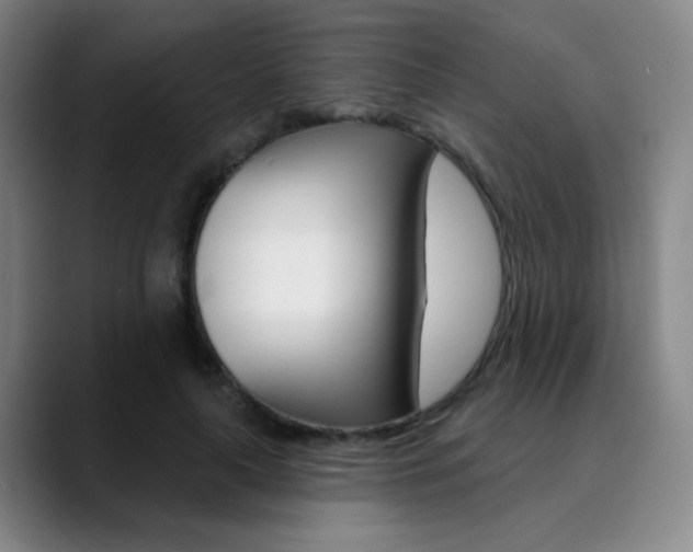 X0000090500643200707130950