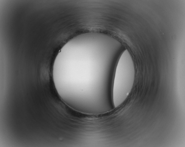 X0000090500644200707130950