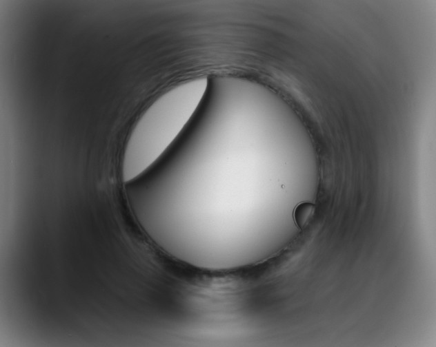 X0000090500645200707130950