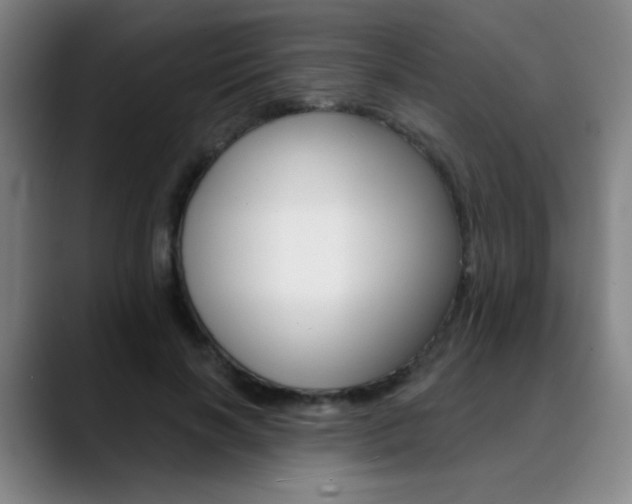 X0000090500646200707130950