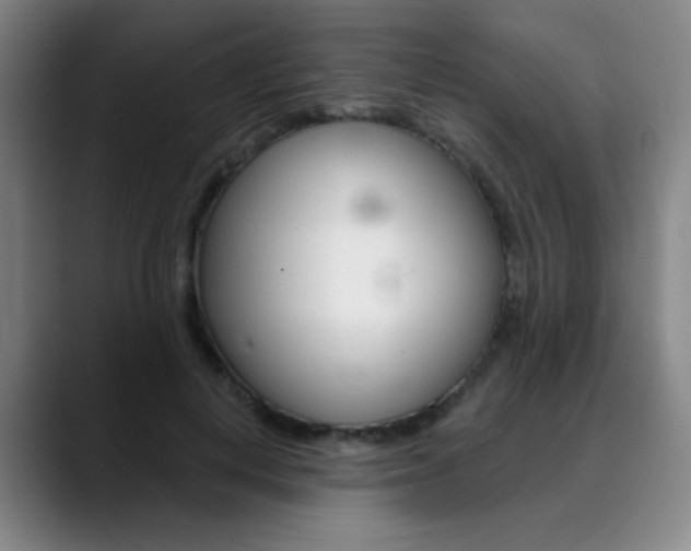 X0000090500648200707130950