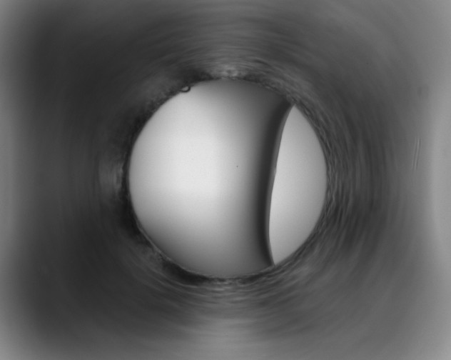 X0000090500652200707130950