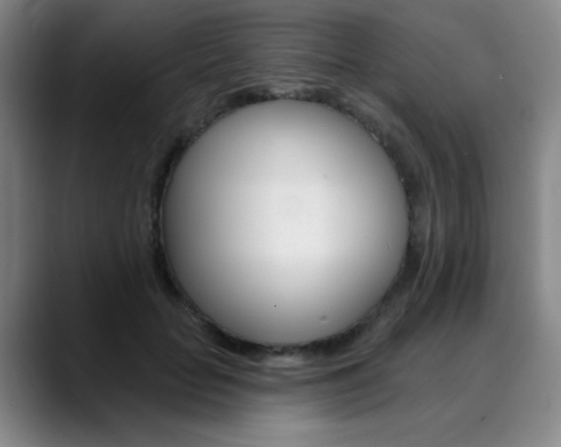 X0000090500653200707130950
