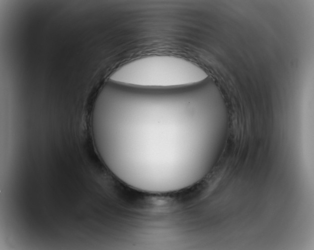X0000090500654200707130950