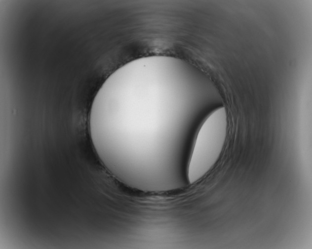 X0000090500657200707130950