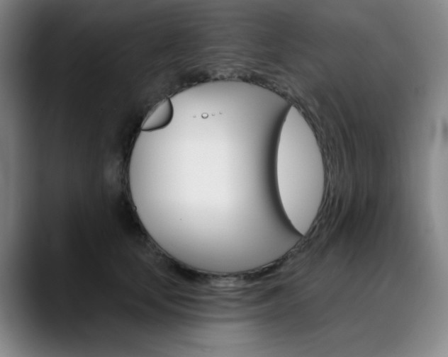 X0000090500659200707130950