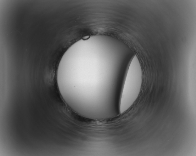 X0000090500660200707130950