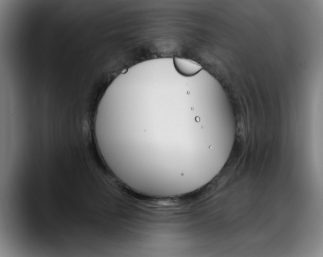 X0000090500662200707130950