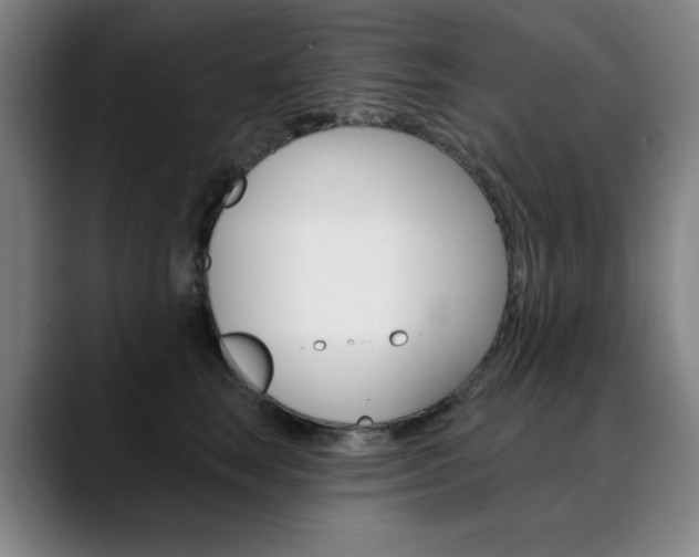 X0000090500663200707130950