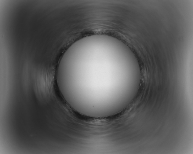 X0000090500664200707130950