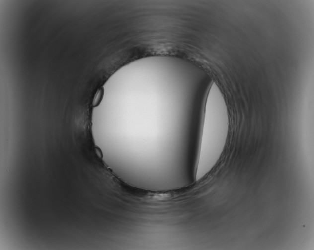 X0000090500665200707130950