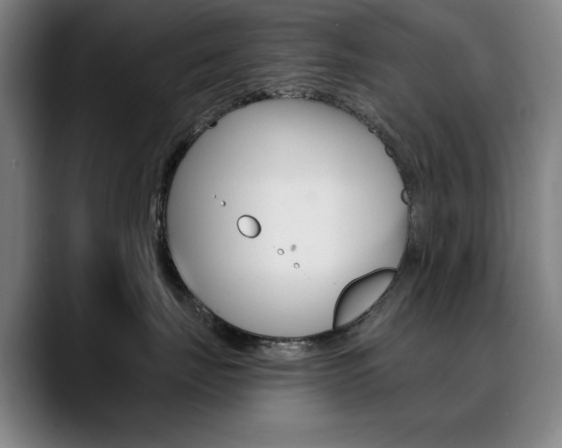 X0000090500671200707130950