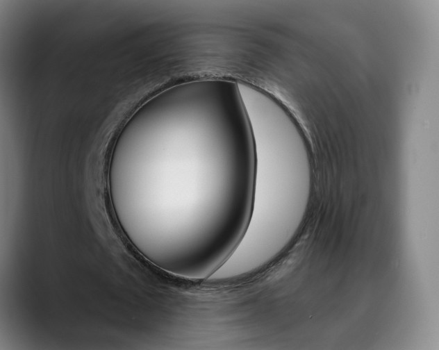 X0000090500673200707130950