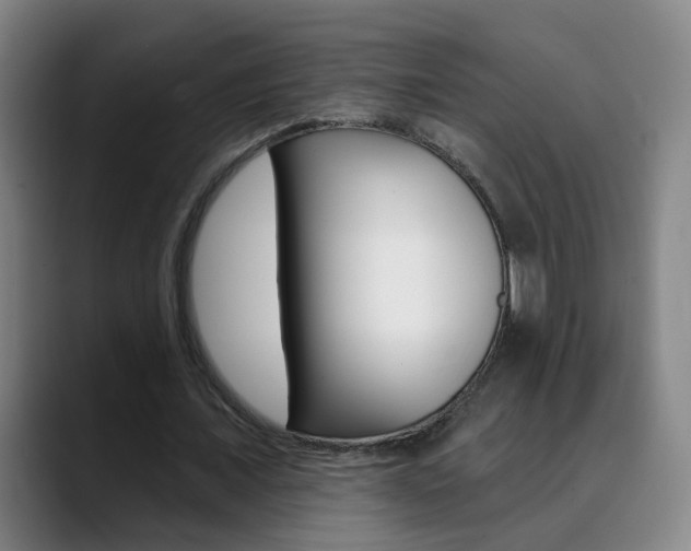 X0000090500675200707130950