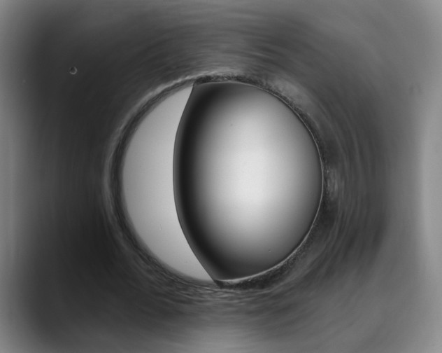 X0000090500676200707130950