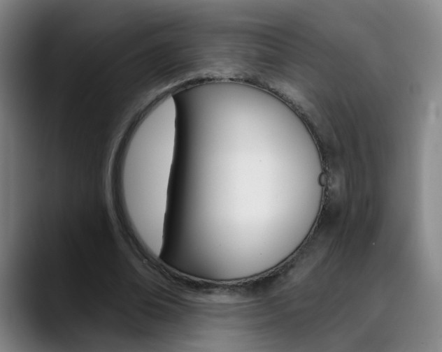 X0000090500678200707130950