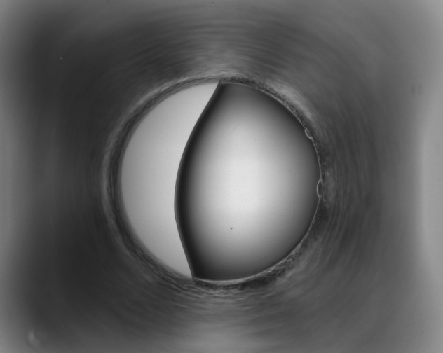X0000090500680200707130949