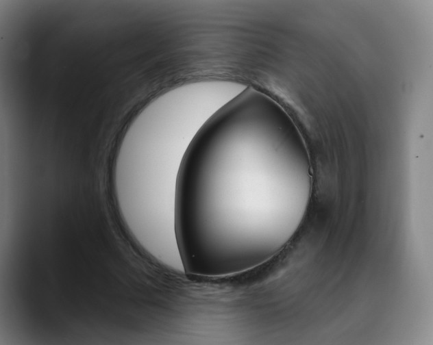 X0000090500681200707130949