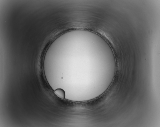 X0000090500682200707130949