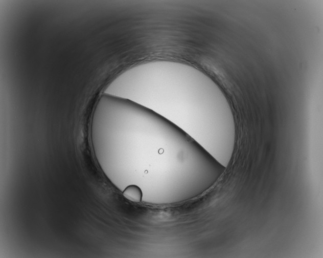 X0000090500687200707130949