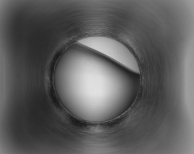 X0000090500688200707130949