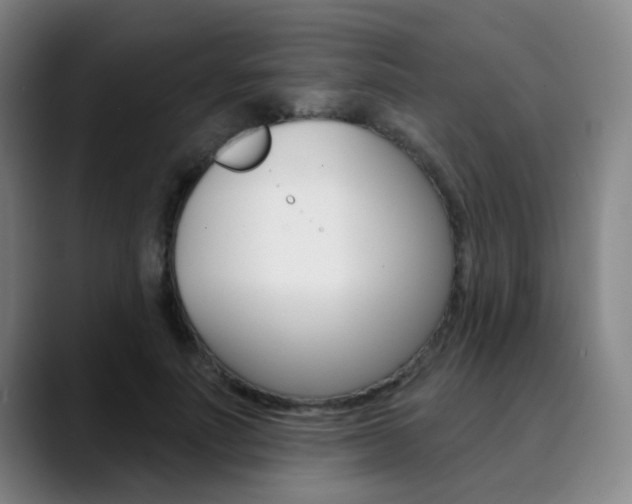 X0000090500691200707130949