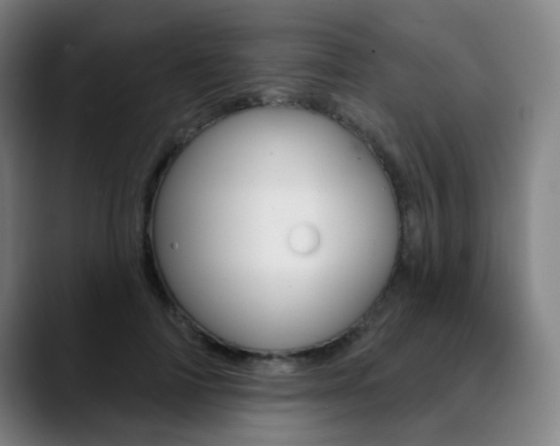 X0000090500698200707130949