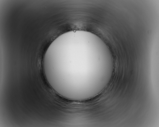 X0000090500699200707130949